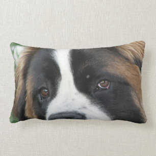 St Bernard valpar kudder Lumbarkudde
