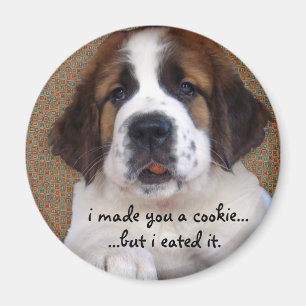 St Bernard valpkaka Magnet