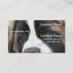 St Bernard valpvisitkort Visitkort