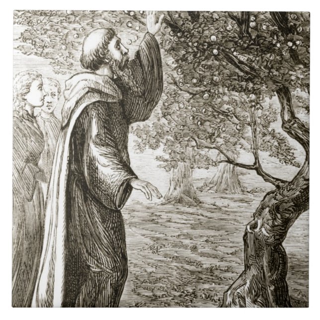 St. Bitter frukt för Columbaändringar in i sötsak, Kakelplatta (Framsidan)