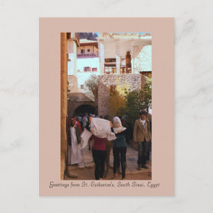 St. Catherine's Monastery, South Sinai, Egypten Vykort