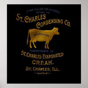 St Charles Illinois DAIRY COW MJÖLK CREAM 1899 Poster