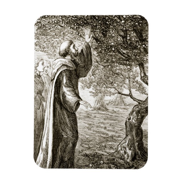 St. Columba ändrar bitter frukt till söt, från Magnet (Vertikal)