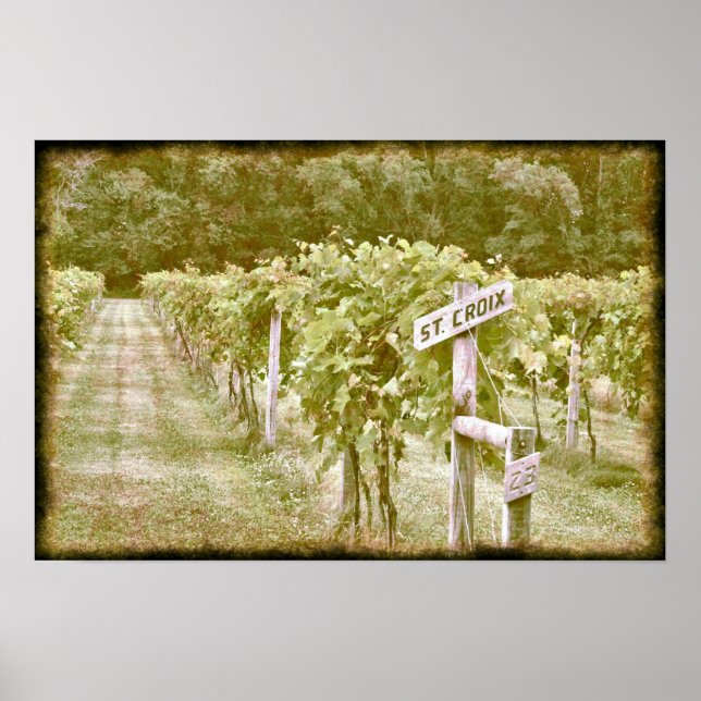 St. Croix Poster (Framsidan)