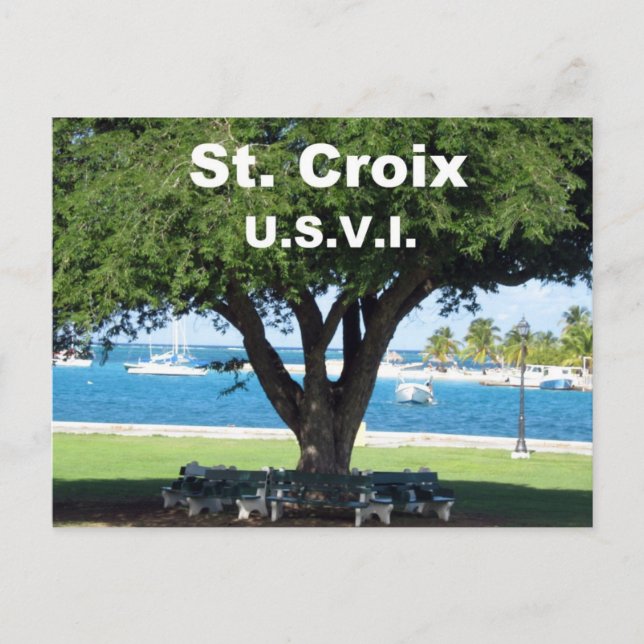 St. Croix U.S.V.I. Vykort (Framsida)