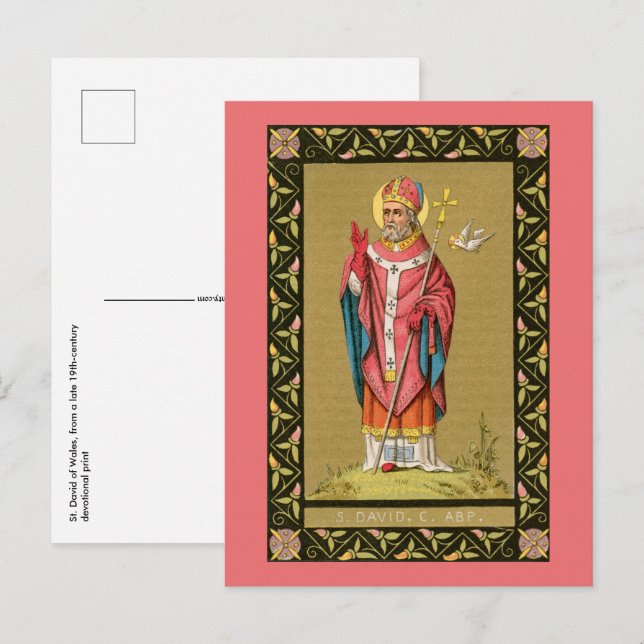 St. David of Wales (P 001) Vykort (Fram/baksida)