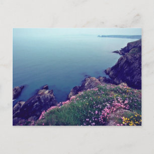 St David's Head, West Point of Wales-blomman Vykort