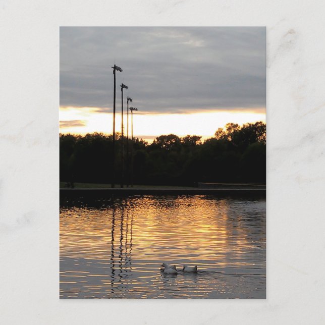 St. Ferdinand Park Vykort (Framsida)