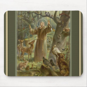 St Francis av Assisi med djur Musmatta