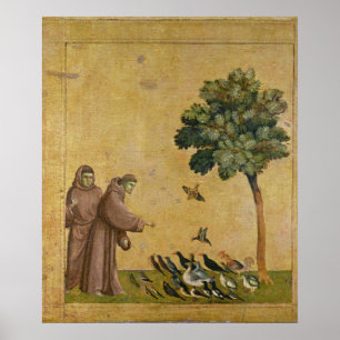 St Francis av Assisi som predikar till fåglarna Poster