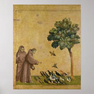 St Francis av Assisi som predikar till fåglarna Poster