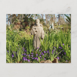 St. Francis Bland Pansies Vykort