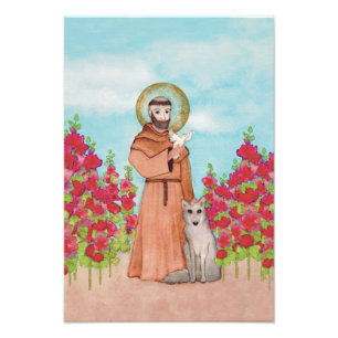 St. Francis Coyote Watercolor Folk Fullt Fototryck