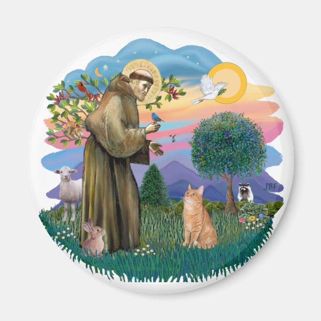 St. Francis (ff) - Orange Tabby katt Magnet (Framsidan)