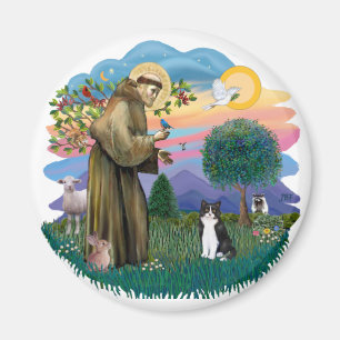 St Francis (ff) - Svart och vit katt Magnet