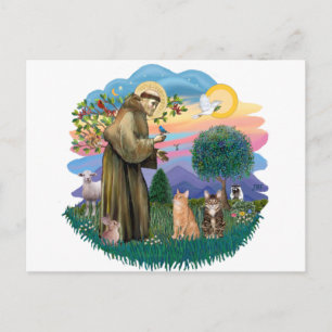 St Francis (ff) - Två Tabby katt Vykort