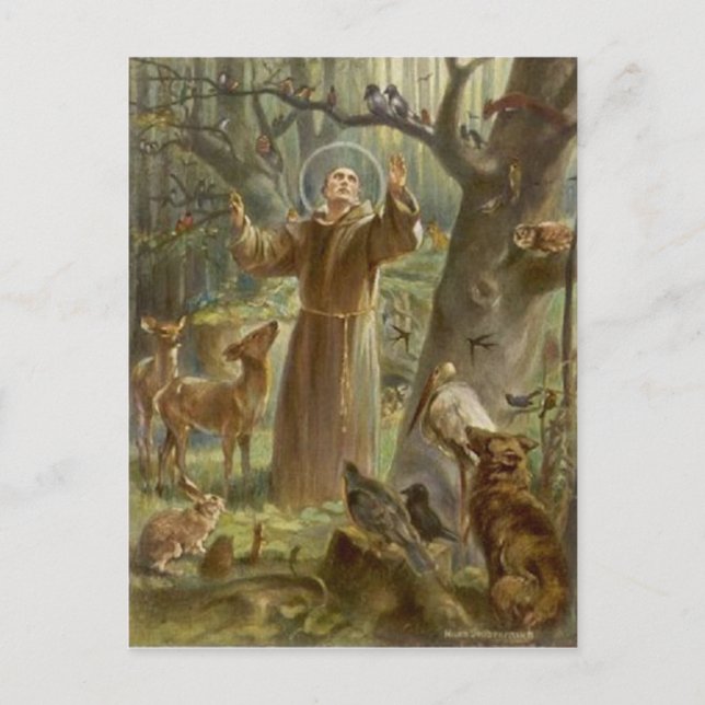 St. Francis of Assisi, omringad av djur Vykort (Framsida)