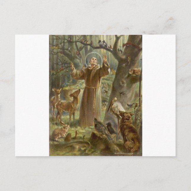 St. Francis of Assisi, omringad av djur Vykort (Framsida)