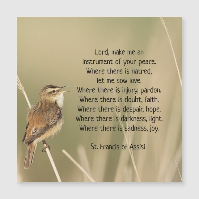 St. Francis of Assisi Prayer Bird Inspirational (Framsida)