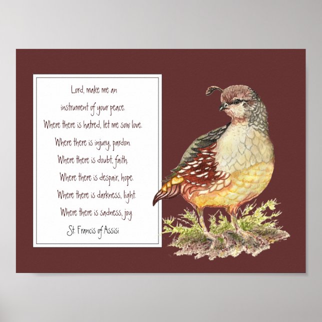 St. Francis of Assisi Prayer California Quail Bird Poster (Framsidan)