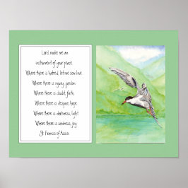 St. Francis of Assisi Prayer Common Tern Bird Poster