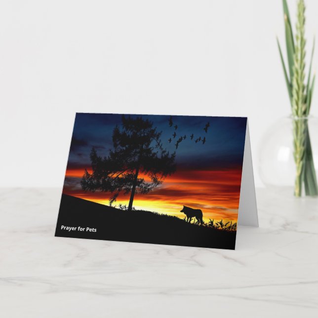 St. Francis of Assisi Prayer for Pets - Hund Kort (Framsida)