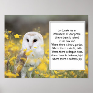 St. Francis of Assisi Prayer med Barn Uggla Poster