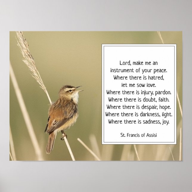 St. Francis of Assisi Prayer med Bird Poster (Framsidan)
