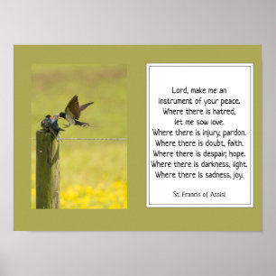 St. Francis of Assisi Prayer med fågelfamilj Poster