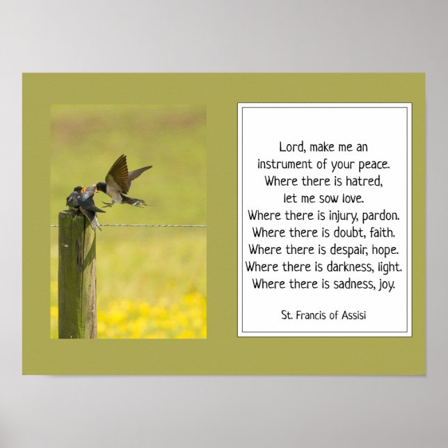 St. Francis of Assisi Prayer med fågelfamilj Poster (Framsidan)
