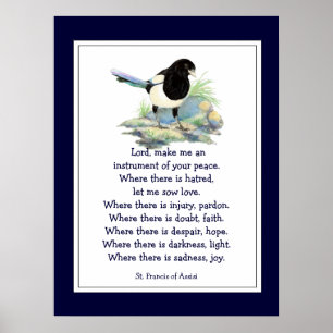 St. Francis of Assisi Prayer med Magpie Bird Poster