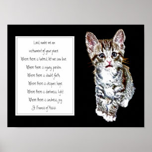 St. Francis of Assisi Prayer med Sweet Kitten Cat Poster