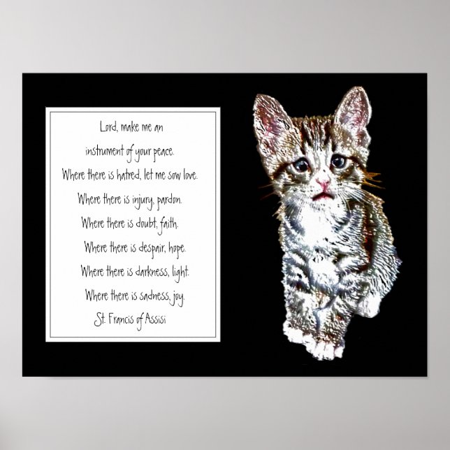 St. Francis of Assisi Prayer med Sweet Kitten Cat Poster (Framsidan)