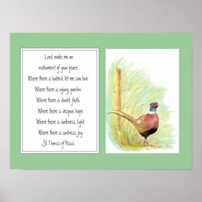 St. Francis of Assisi, Prayer Ring Necked Pheasant Poster (Framsidan)