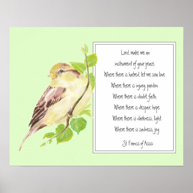 St. Francis of Assisi, Prayer Sparrow-fågel Poster (Framsidan)