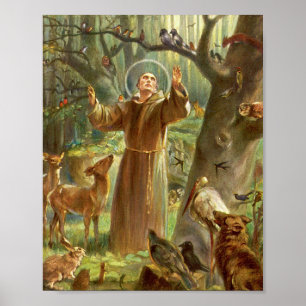 St Francis of Assisi predikar för djur Poster