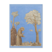 St. Francis predikar för fåglarna Postcard C0582