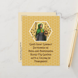 St. Gobnait of Ballyvourney (SAE 003) Postcard Vykort