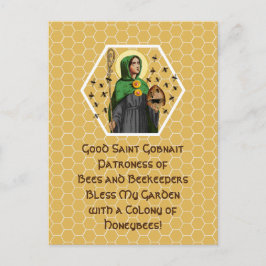 St. Gobnait of Ballyvourney (SAE 003) Postcard Vykort