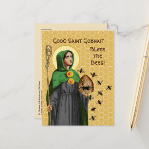 St. Gobnait of Ballyvourney (SAE 003) Postcard Vykort