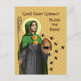 St. Gobnait of Ballyvourney (SAE 003) Postcard Vykort