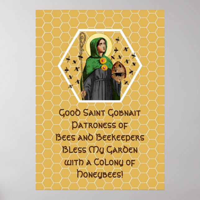 St. Gobnait of Ballyvourney (SAE 003) Poster (Framsidan)