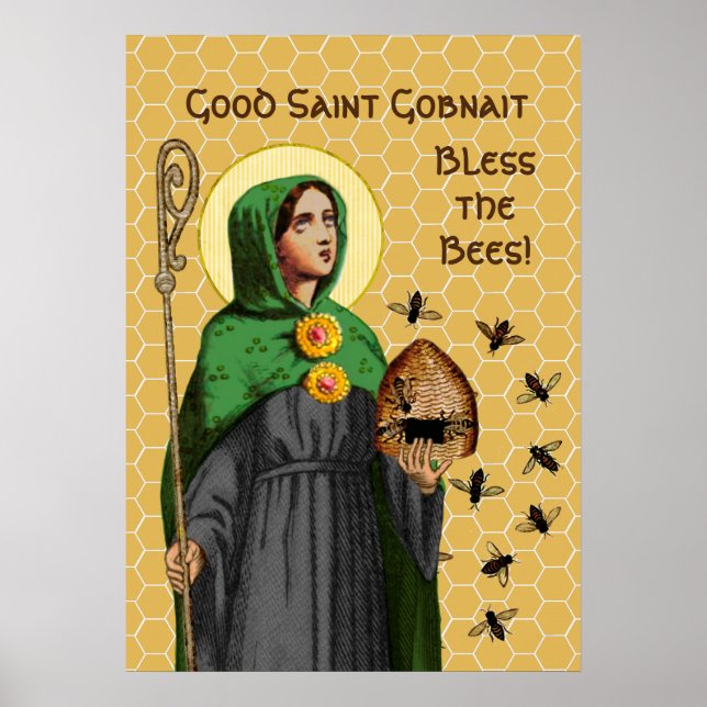 St. Gobnait of Ballyvourney (SAE 003) Poster (Framsidan)