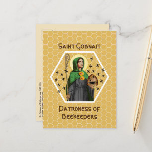 St. Gobnait of Ballyvourney (SAE 003) Vykort