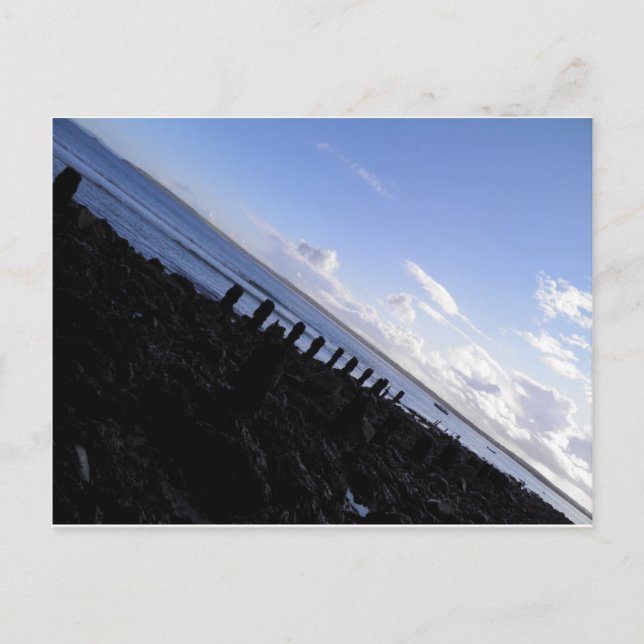 St. Ives Shore Vykort (Framsida)