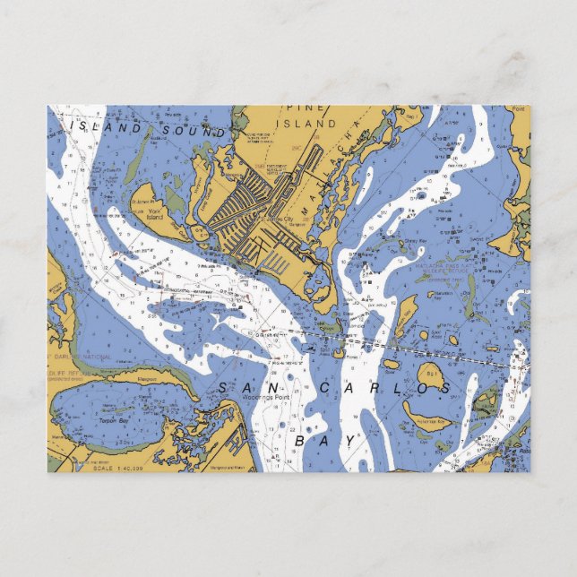 St. James City, Florida Nautical Chart Postcard Vykort (Framsida)