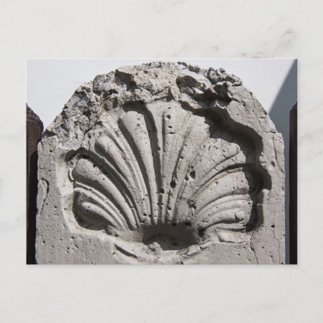 St. James, Scallop Route Marker Vykort (Framsida)