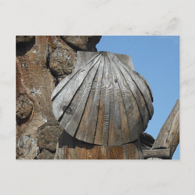 St. James Wood Scallop Marker Vykort (Framsida)