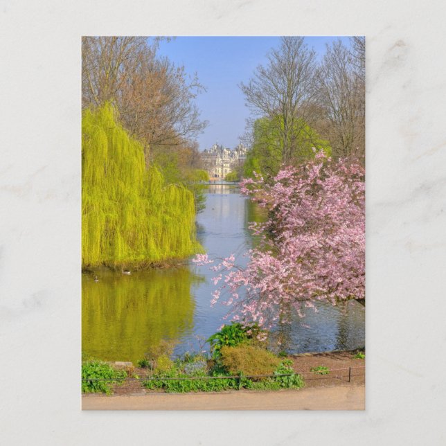 St James's park, London UK Postcard Vykort (Framsida)