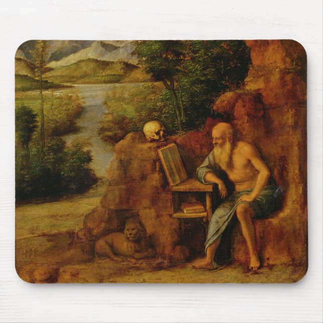 St Jerome c.1500 (olja på panel) Musmatta (Framsidan)